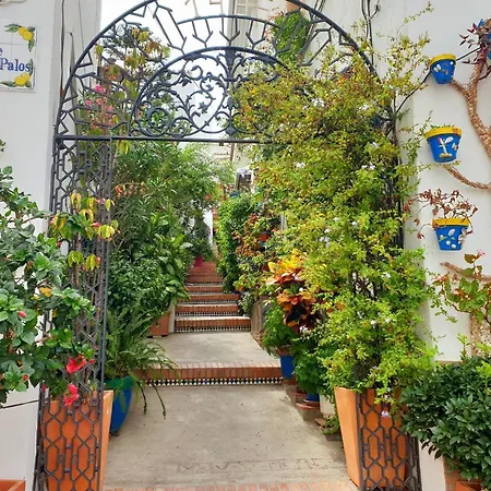 Casitamar Frontline House Casares Costa Near Estepona Holiday home Bahia de Casares